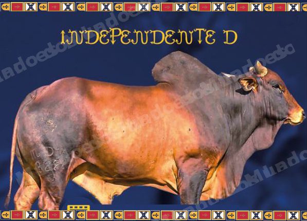 Lote em leilao em Brasil