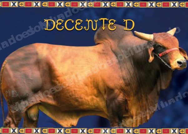 Lote em leilao em Brasil
