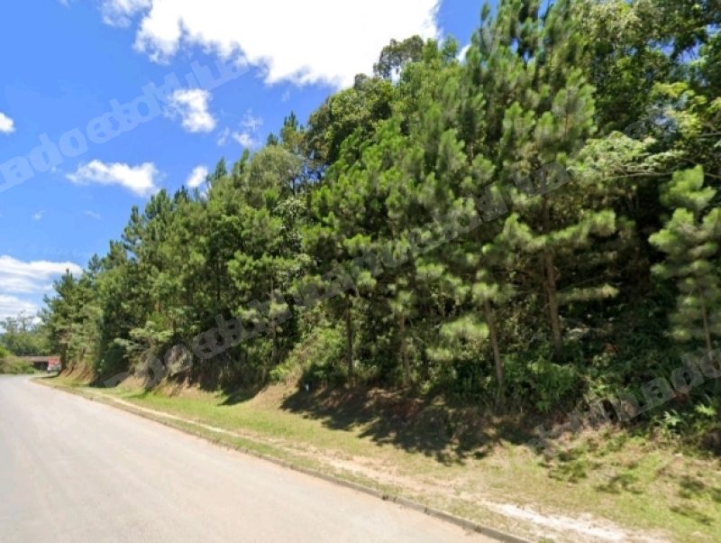 Terreno em leilao em Taió/SC