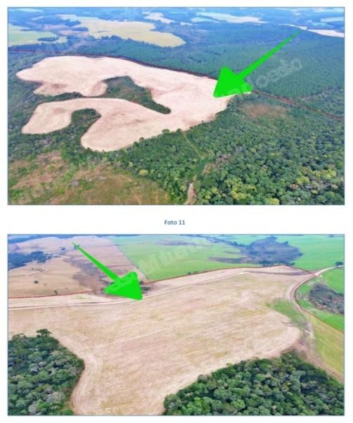 Imóvel em leilão em Mafra/SC - Lote 2