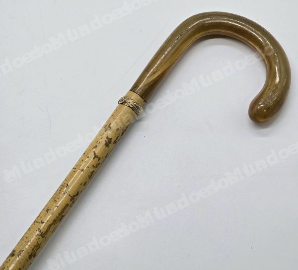 Lote em leilao em Brasil