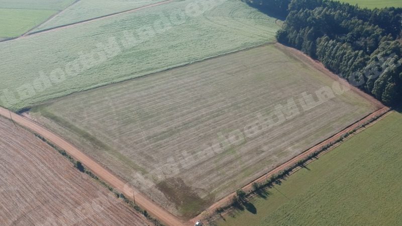 Terreno em leilao em Ernestina/RS