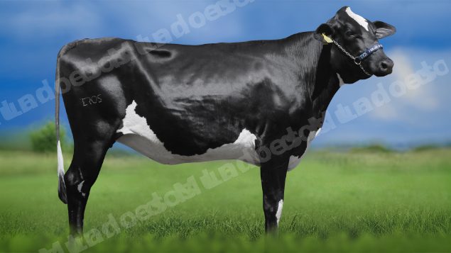 Lote em leilao em Igaratinga/MG - Lote 22