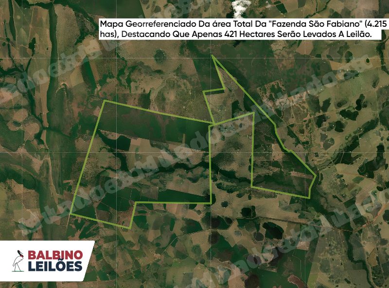 Terreno em leilão em Porto Esperidião/MT - Lote 2