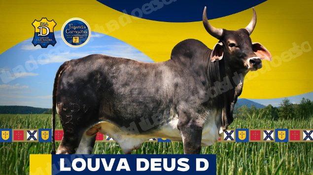 Lote em leilao em Brasil