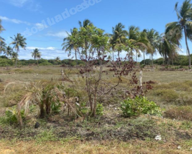 Terreno em leilao em Itaporanga D'ajuda/SE
