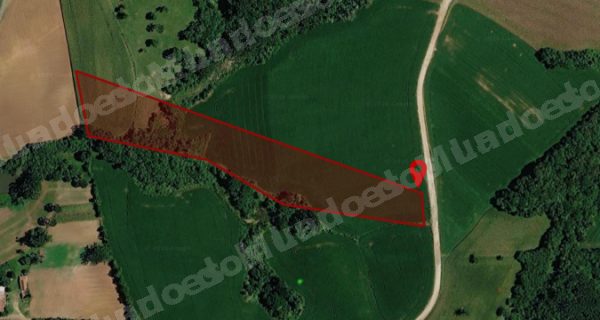 Terreno de 24000 m2 em leilao em Campo Largo/PR