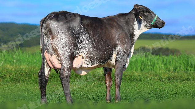 Veiculo em leilao em Estrela do Indaiá/MG - Lote 7
