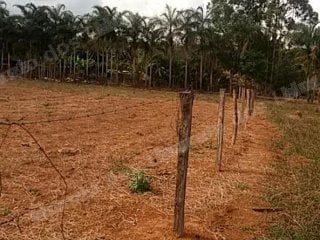 Terreno de 797 m2 em leilão em Alexânia/GO