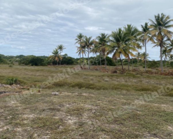 Terreno de 300 m2 em leilao em Itaporanga D'ajuda/SE