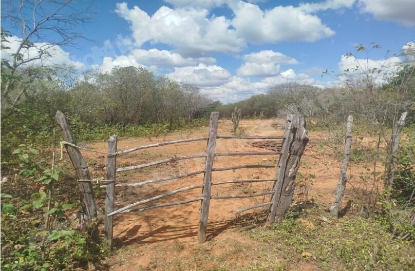 Imovel rural em leilao em Brasil