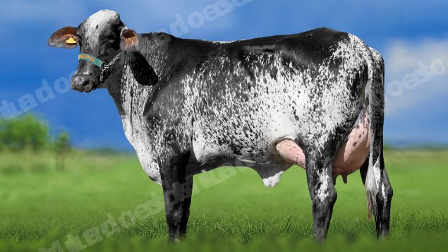 Lote em leilao em Miradouro/MG