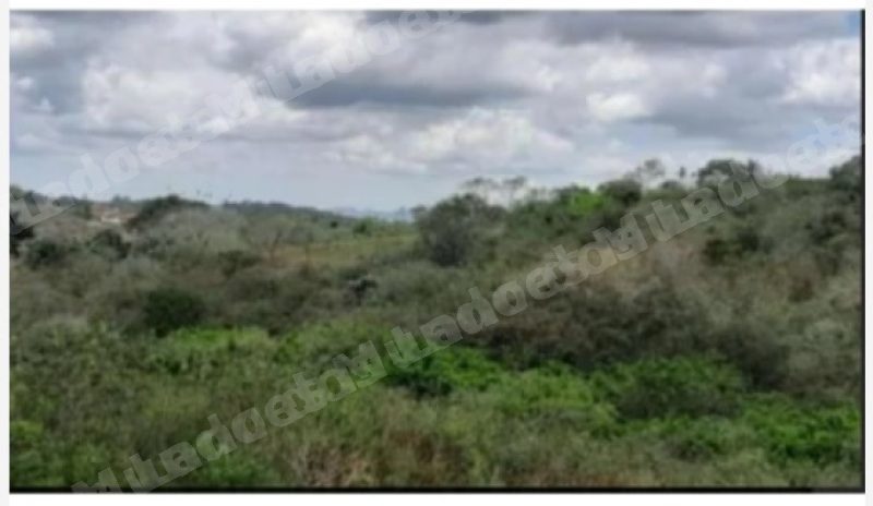 Terreno em leilao em Campina Grande/PB