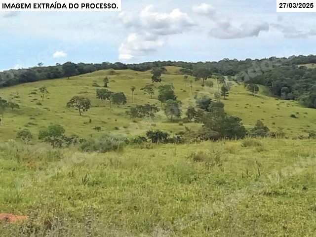 Imovel rural em leilao em Orizona/GO