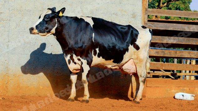 Lote em leilao em Cristalina/GO