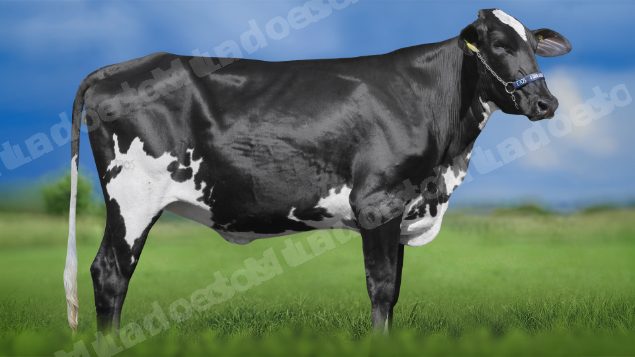 Lote em leilao em Igaratinga/MG - Lote 24