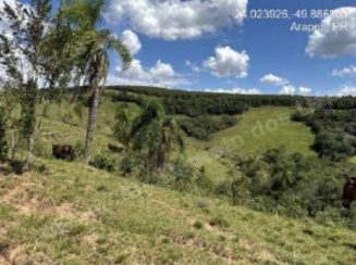 Terreno em leilão em Arapoti/PR - Lote 5