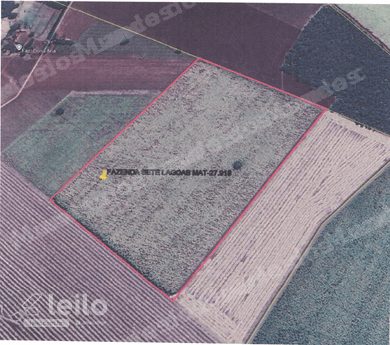 Imovel rural em leilao em Quirinopolis/GO