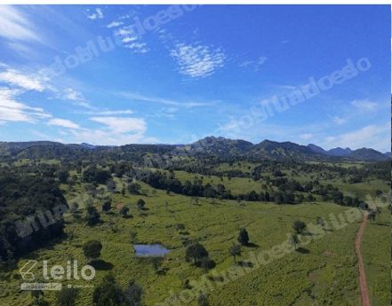 Imovel rural em leilao em Fazenda Nova/GO