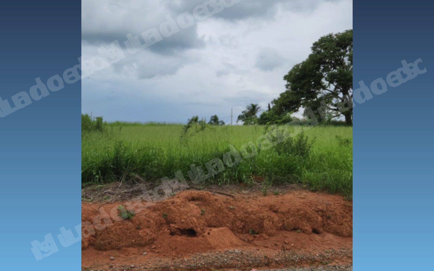 Terreno em leilao em Carmópolis de Minas/MG