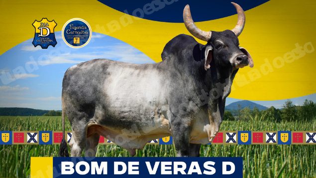 Lote em leilao em Brasil