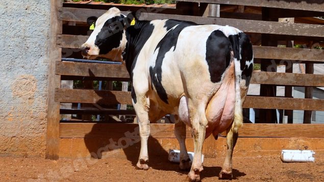 Lote em leilao em Cristalina/GO