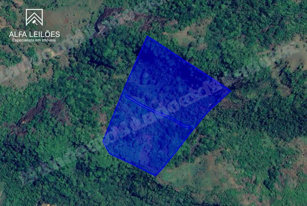 Imovel rural em leilao em Guiricema/MG