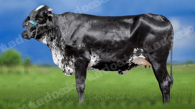 Lote em leilao em Miradouro/MG