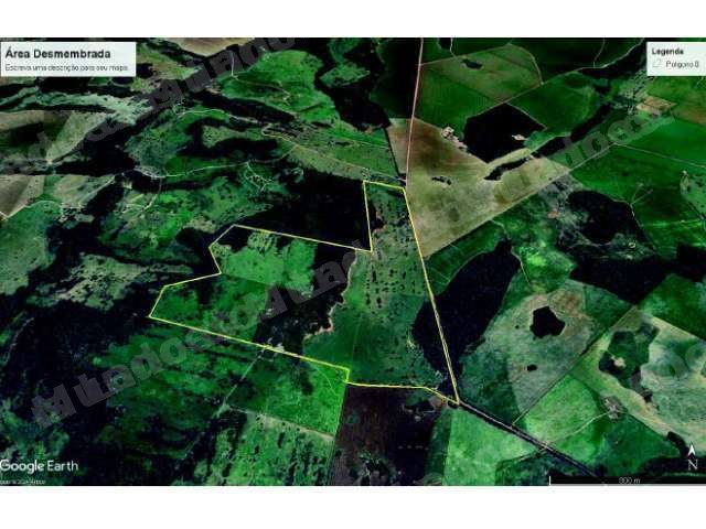 Imóvel rural em leilão em Pedro Gomes/MS
