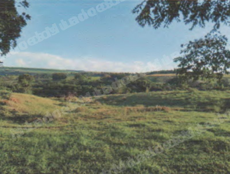 Imovel rural em leilao em Araguari/MG