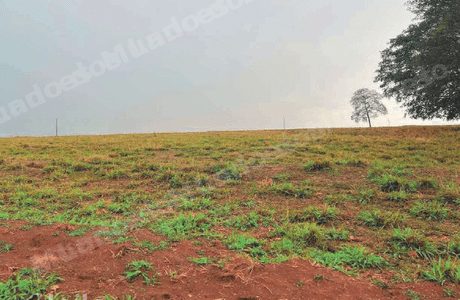 Imovel rural em leilao em Paranaiguara/GO