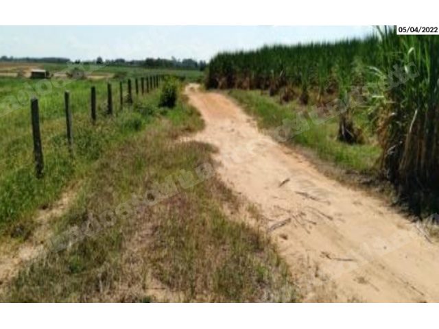 Imovel rural em leilao em Novo Horizonte/SP