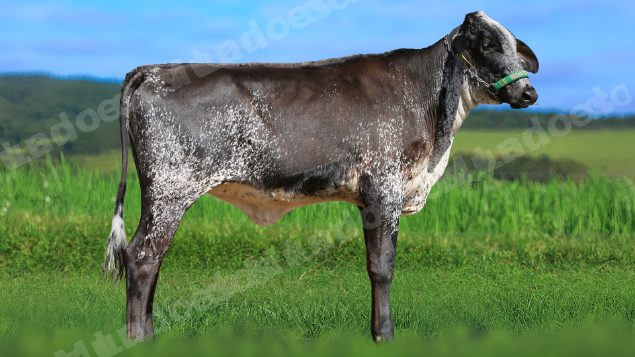 Veiculo em leilao em Estrela do Indaiá/MG - Lote 9