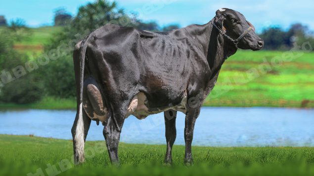 Lote em leilão em Brasil