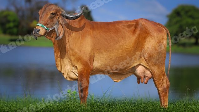 Lote em leilao em Carmo da Mata/MG