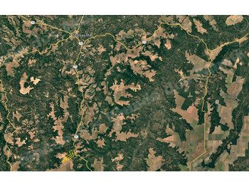 Terreno em leilao em Tasso Fragoso/MA