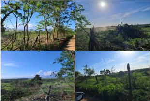 Terreno em leilao em Araruama/RJ