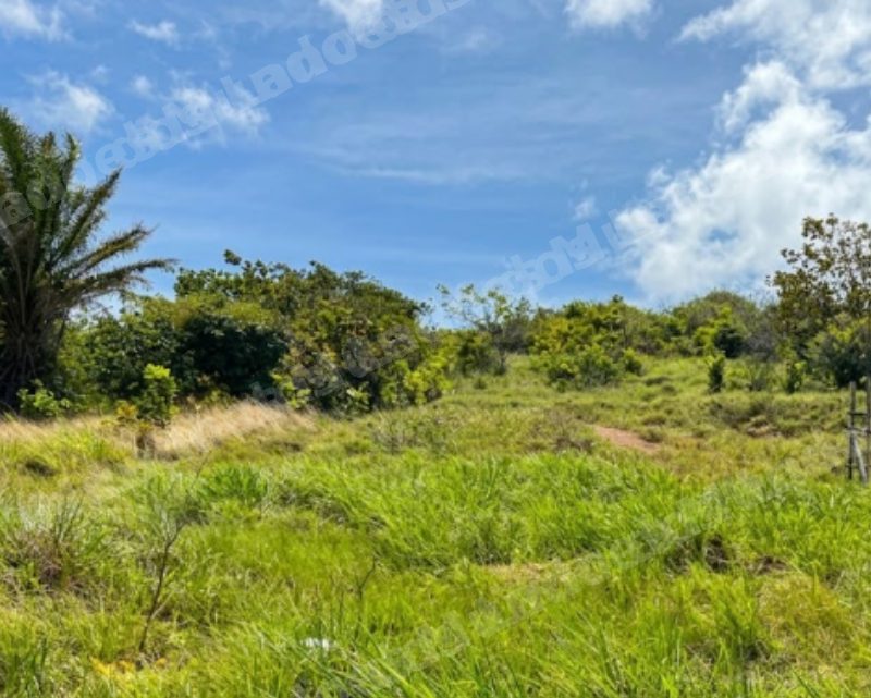 Terreno em leilao em Goiana/PE