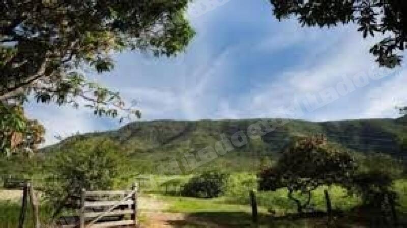 Imovel rural em leilao em Colônia Leopoldina/AL