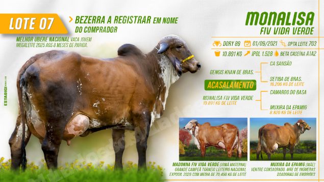 Lote em leilão em Jales/SP - Lote 21