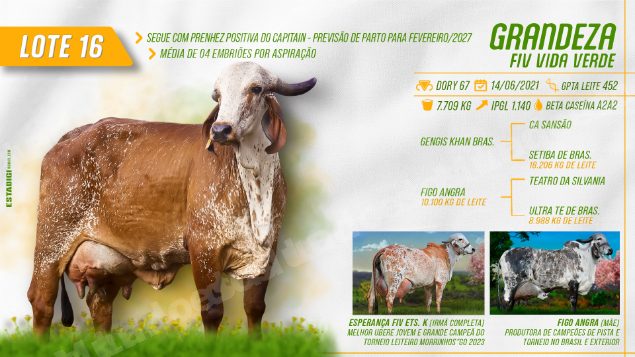 Lote em leilão em Jales/SP - Lote 22