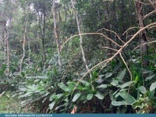 Terreno em leilao em Mogi das Cruzes/SP
