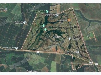 Terreno em leilao em Cesar/SP - Lote 8
