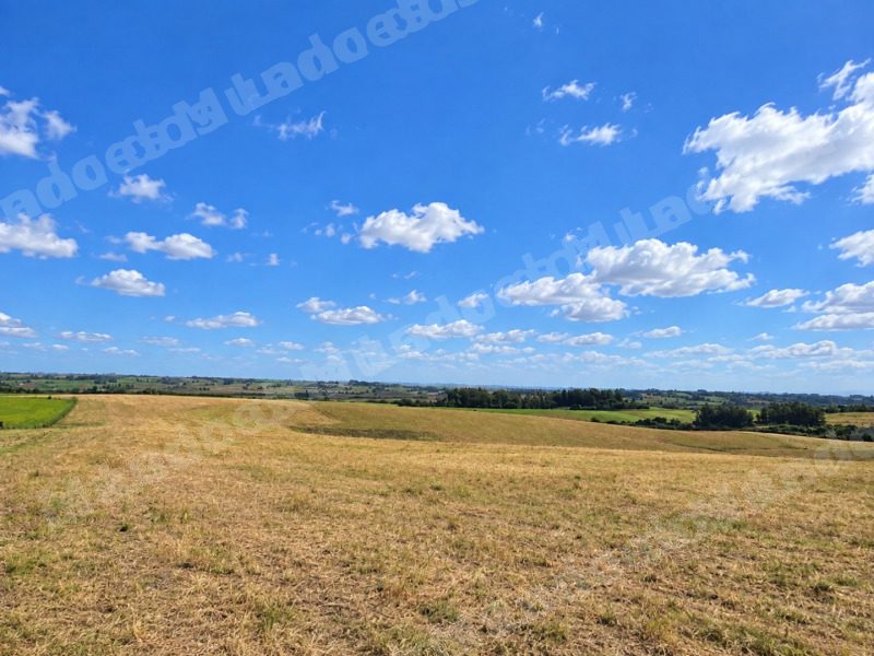 Imóvel rural em leilão em Candelária/RS - Lote 1