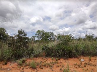 Terreno em leilão em Caetanópolis/MG - Lote 135