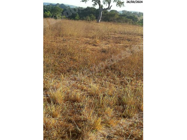 Terreno em leilao em Bom Jardim de Goiás/GO