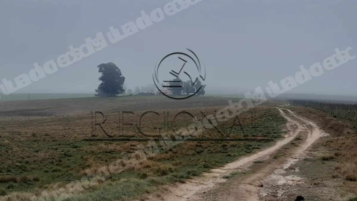 Terreno em leilao em São Gabriel/RS