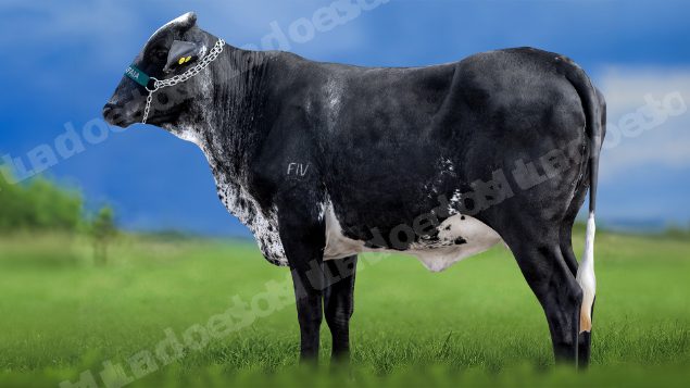 Lote em leilao em Miradouro/MG