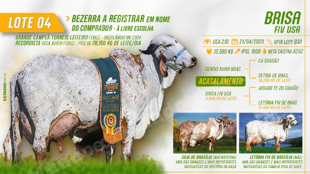 Lote em leilão em Jales/SP - Lote 23
