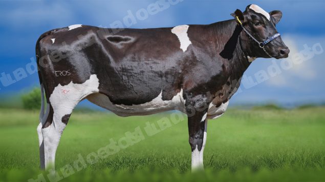 Lote em leilao em Igaratinga/MG - Lote 26